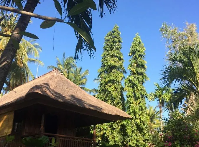 Singko Lovina