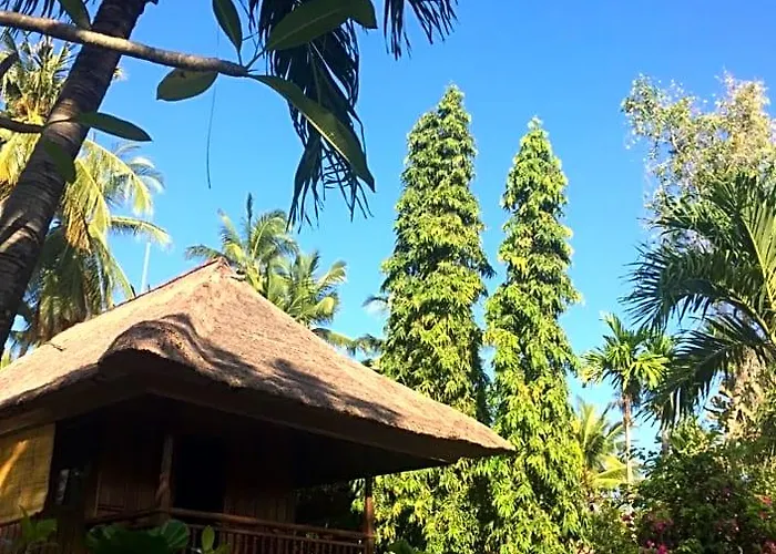 Singko Lovina